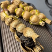 Чай "Гірка диня" (Момордика)