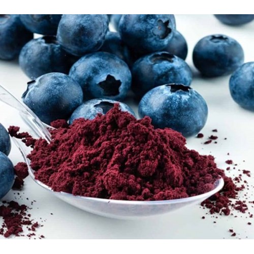 Чорниця ягоди екстракт (10:1), 100г