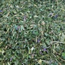 Иван-чай (кипрей узколистный), 100г