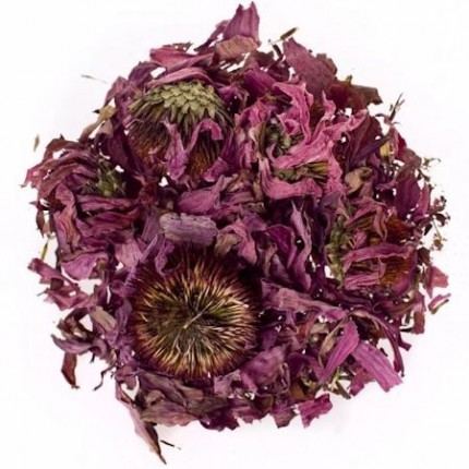 Ехінацея пурпурова квітка, 100г