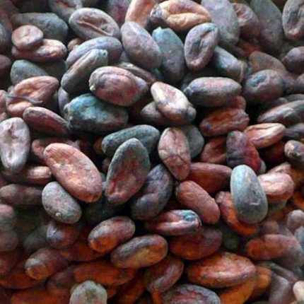 Какао-бобы, 200г