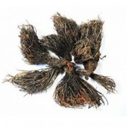 Красная щетка (родиола четырехчленная), 30г