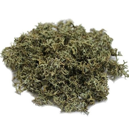 Исландский мох Озон
