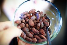 Какао-бобы способы употребления