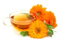Чай из цветков календулы